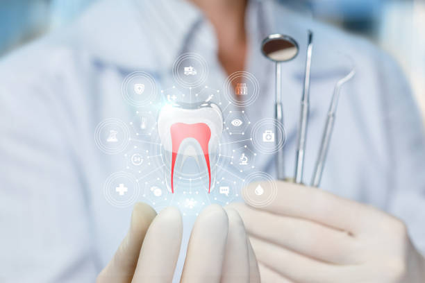 Best Full Mouth Reconstruction  in East Massapequa, NY